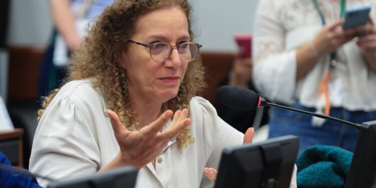 Parlamentares governistas viajam aos EUA para rebater a direita】