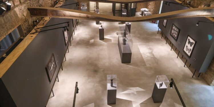 Museu Nacional celebra 208 anos com exposições inéditas em nova programação cultural