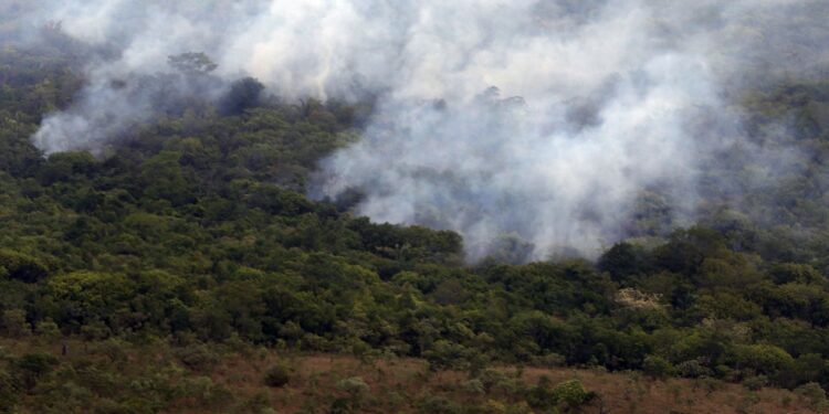 Incêndios globais em 2025 registram menor emissão de gases em 24 anos, aponta Copernicus