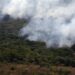Incêndios globais em 2025 registram menor emissão de gases em 24 anos, aponta Copernicus
