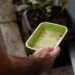 El Niño pode aumentar casos de chikungunya e dengue no Brasil