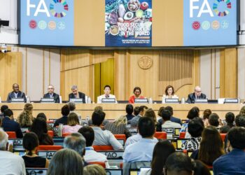 Brasil mantém-se fora do Mapa da Fome, indica relatório da ONU