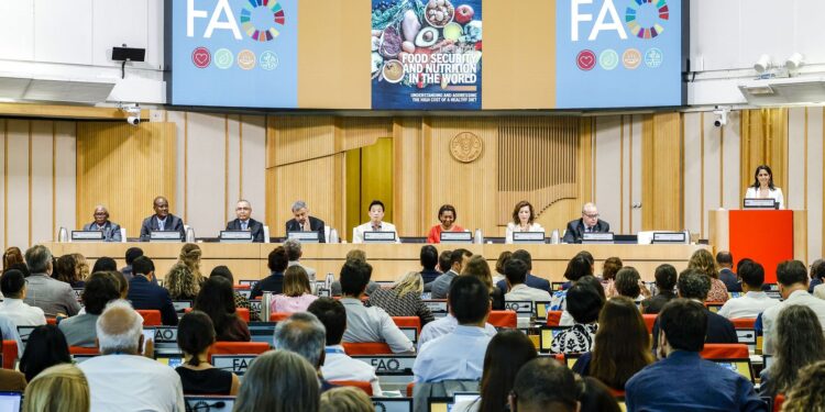 Brasil mantém-se fora do Mapa da Fome, indica relatório da ONU