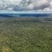 Noruega une-se ao Brasil em parceria de ações ambientais no campo adversário.