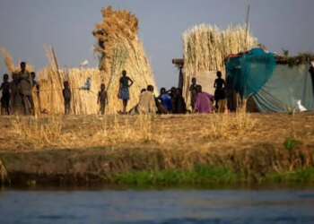 Fome mundial atinge 645 milhões de pessoas, diz relatório da ONU