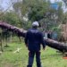 Rio Grande do Sul: chuvas deixam 720 desabrigados em Eldorado do Sul