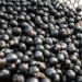 China abre caminho na exportação de polpas e frutas congeladas brasileiras