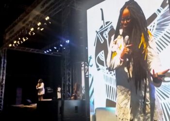 Racismo reduzido a chamar alguém de macaco, critica escritora