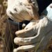 Pesquisadores encontram plantas extintas há 30 anos