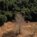 Depois da COP17, Brasil é cobrado a efetivar metas de restauração.
