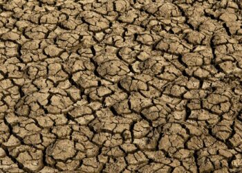 Risco de desertificação no Brasil ameaça segurança hídrica e alimentar