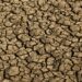 Risco de desertificação no Brasil ameaça segurança hídrica e alimentar