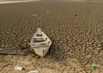 Brasil promete restaurar 163 mil km² de terras degradadas até 2030