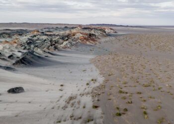 Fungos podem restaurar terras degradadas e combater a crise climática