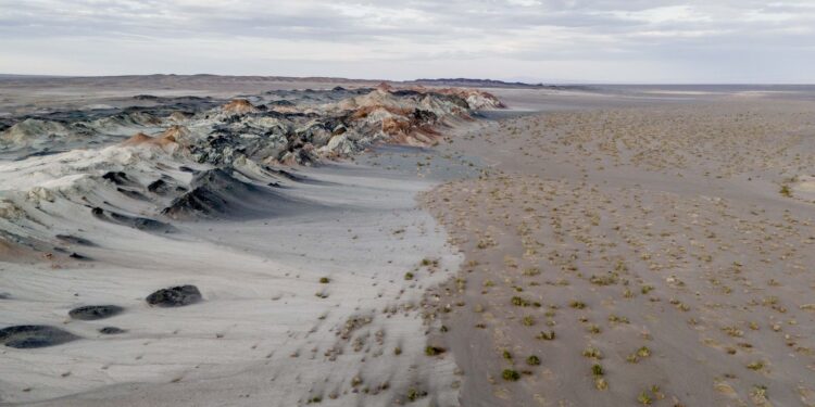 Fungos podem restaurar terras degradadas e combater a crise climática
