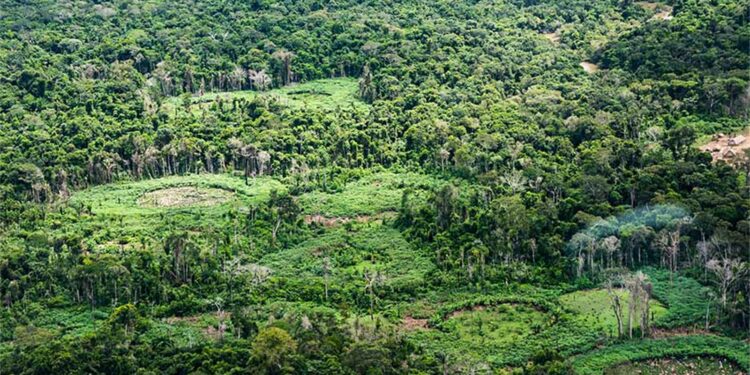 Indígenas da Amazônia catalogam espécies para proteger a biodiversidade
