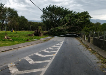 Ventania pode atingir 50 km/h no fim de semana