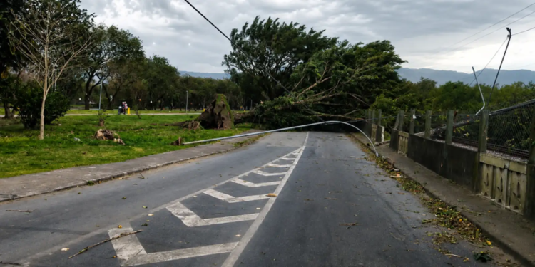 Ventania pode atingir 50 km/h no fim de semana
