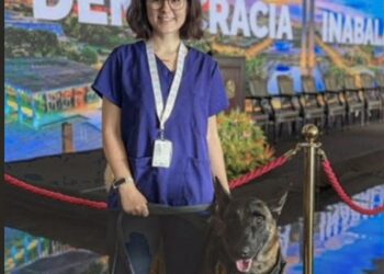 Veterinária morre após ataque de cachorro no canil do Senado Federal