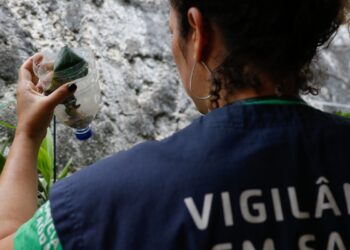 Autoridades de saúde confirmaram 58.683 casos de dengue em todo o estado de São Paulo, desde o início deste ano.