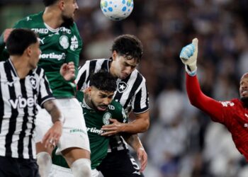 Botafogo segura Palmeiras e Flamengo se torna novo líder do Brasileirão