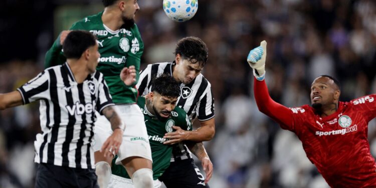 Botafogo segura Palmeiras e Flamengo se torna novo líder do Brasileirão