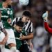 Botafogo segura Palmeiras e Flamengo se torna novo líder do Brasileirão