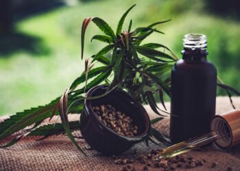 Cannabis e associações: normas ainda deixam pontos em aberto