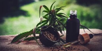 Cannabis e associações: normas ainda deixam pontos em aberto