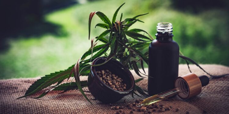 Cannabis e associações: normas ainda deixam pontos em aberto