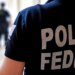 PF faz operação contra fraudes no registro de armas de colecionadores