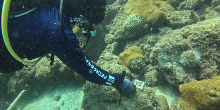 Array
