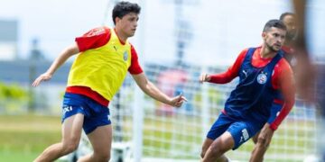Bahia volta a campo na quinta-feira contra o Palmeiras após pausa para a Data Fifa