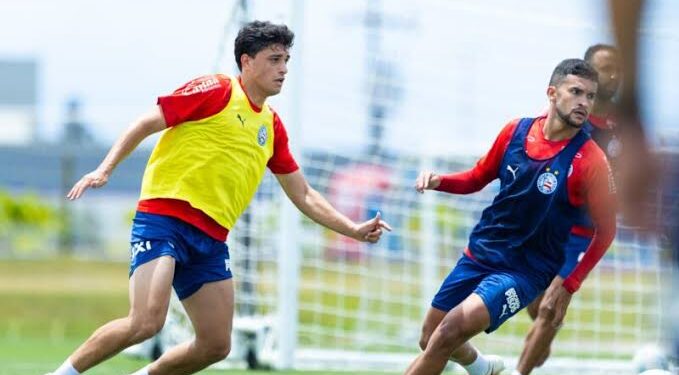 Bahia volta a campo na quinta-feira contra o Palmeiras após pausa para a Data Fifa