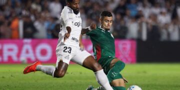 Brasileirão: Palmeiras e Santos vencem zero, Flamengo agradece