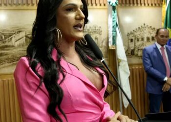 População trans ampliou representação no Poder Legislativo